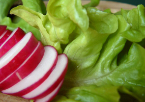 Ernährung Salat