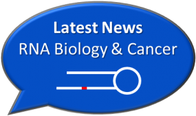 News Rna Biology Cancer