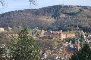 Castle of Heidelberg (view from the "Philosophenweg")