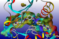 Ligand docked into target protein