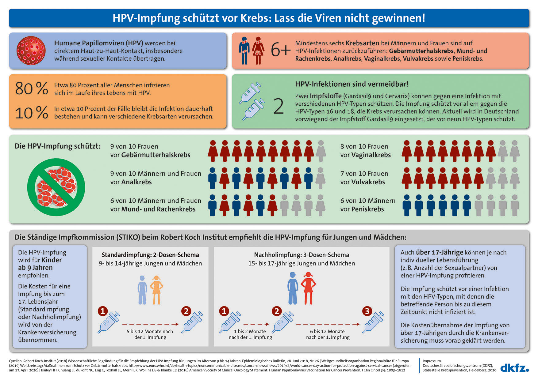 hpv impfung jungen infoblatt