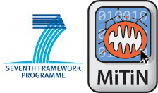EU FP7 Project: MITIN