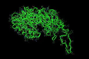 Computer model of the enzyme methyltransferase