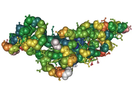 transforming growth factor beta