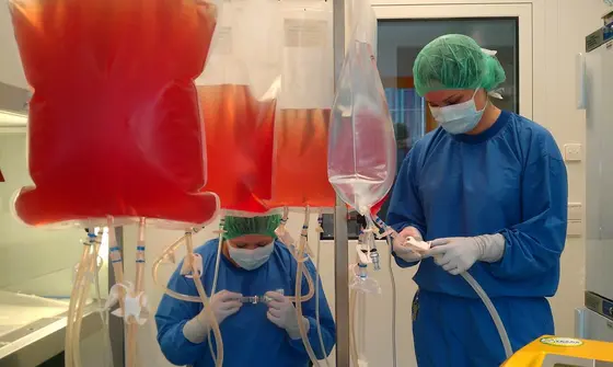 Herstellung von Immuntherapeutika nach klinischen Standards im GMP-Center des Universitätsklinikums Tübingen.