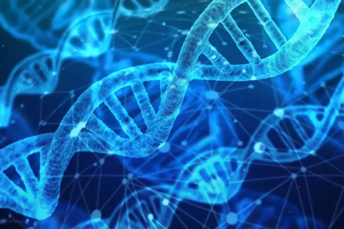 Das Bild zeigt eine digitale Darstellung von DNA-Doppelhelixen, die in einem leuchtenden blauen Farbton dargestellt sind.