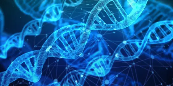 Das Bild zeigt eine digitale Darstellung von DNA-Doppelhelixen, die in einem leuchtenden blauen Farbton dargestellt sind.