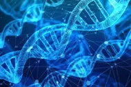 Das Bild zeigt eine digitale Darstellung von DNA-Doppelhelixen, die in einem leuchtenden blauen Farbton dargestellt sind.