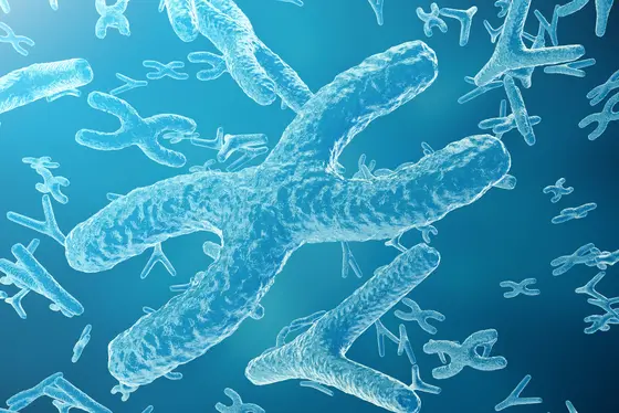 Unstable chromosomes can promote breast cancer