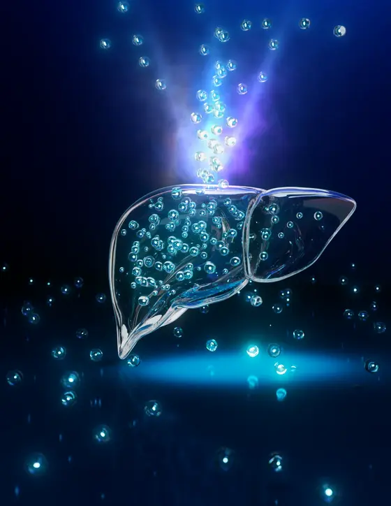 Eine transparente, gläserne Leberform, gefüllt mit schimmernden Blasen, schwebt in einem dunklen Raum. Aus der Leber steigen glitzernde Partikel auf, während ein sanftes Licht von unten strahlt.