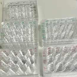 Mehrere transparente Platten mit zahlreichen Wells, beschriftet mit verschiedenen Zahlen und Buchstaben, auf einem weißen Tisch angeordnet. Sie scheinen für Experimente oder Zellkulturen verwendet zu werden.