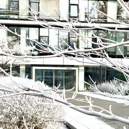Ein modernes Gebäude mit großen Fenstern im Vordergrund. Über dem Eingang steht das Wort „DKFZ”. Die Umgebung ist mit Schnee bedeckt, und kahle Äste ragen ins Bild. Der Himmel ist klar und es ist ein sonniger Tag.