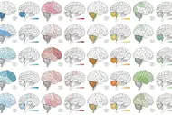 Mehrere stilisierte Gehirnillustrationen sind in einem Raster angeordnet. Jedes Gehirn ist in verschiedenen Farben hervorgehoben, darunter Blau, Rot, Gelb und Grün. Diese Farben können verschiedene Bereiche oder Funktionen des Gehirns symbolisieren, wobei die allgemeine Darstellung abstrahiert ist.