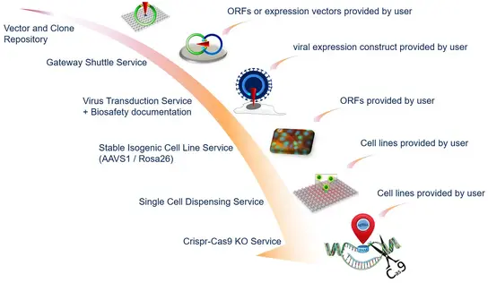 A flowchart outlining various biological research services. It includes components like vector and clone repository, Gateway Shuttle Service, Virus Transduction Service, Stable Isogenic Cell Line Service, Single Cell Dispensing Service, and Crispr-Cas9 KO Service, with user-provided materials indicated throughout.