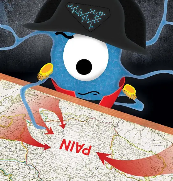 A revolutionary finding for Oxytocin: Both peripheral and central pathways join in a strategic maneuver to conquer pain