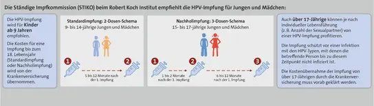 Infografik: Die Kosten für eine Impfung bis zum 18. Lebensjahr (Standardimpfung oder Nachholimpfung) werden von der Krankenkasse übernommen. Standardimpfung: 2-Dosen-Schema für 9- bis 14-jährige Jungen und Mädchen – 1. Impfung, 2. Impfung: 5 bis 12 Monate nach der 1. Impfung. Nachholimpfung: 3-Dosen-Schema für 15- bis 17-jährige Jungen und Mädchen – 1. Impfung, 2. Impfung: 1 bis 2 Monate nach der 1. Impfung, 3. Impfung: 6 bis 12 Monate nach der 1. Impfung. Auch über 17-Jährige können je nach individueller Lebenssituation (z. B. Anzahl der Sexualpartner) von einer HPV-Impfung profitieren. Die Impfung schützt vor einer Infektion mit dem HPV-Typ, mit dem die betroffene Person bis zu diesem Zeitpunkt noch nicht infiziert ist. Die Kostenübernahme der Impfung von über 17-Jährigen durch die Krankenkasse muss vorab geklärt werden.