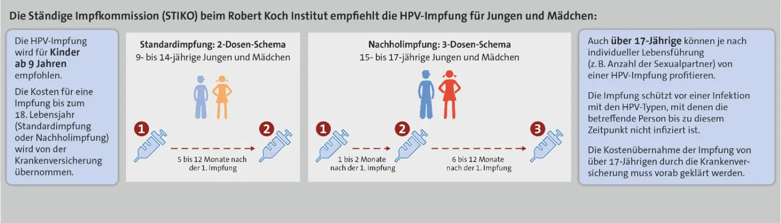 Infografik: Die Kosten für eine Impfung bis zum 18. Lebensjahr (Standardimpfung oder Nachholimpfung) werden von der Krankenkasse übernommen. Standardimpfung: 2-Dosen-Schema für 9- bis 14-jährige Jungen und Mädchen – 1. Impfung, 2. Impfung: 5 bis 12 Monate nach der 1. Impfung. Nachholimpfung: 3-Dosen-Schema für 15- bis 17-jährige Jungen und Mädchen – 1. Impfung, 2. Impfung: 1 bis 2 Monate nach der 1. Impfung, 3. Impfung: 6 bis 12 Monate nach der 1. Impfung. Auch über 17-Jährige können je nach individueller Lebenssituation (z. B. Anzahl der Sexualpartner) von einer HPV-Impfung profitieren. Die Impfung schützt vor einer Infektion mit dem HPV-Typ, mit dem die betroffene Person bis zu diesem Zeitpunkt noch nicht infiziert ist. Die Kostenübernahme der Impfung von über 17-Jährigen durch die Krankenkasse muss vorab geklärt werden.