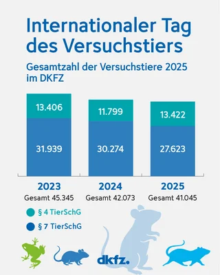Diagramm zum Internationalen Tag des Versuchstiers, zeigt die Gesamtzahl der Versuchstiere 2023, 2024 und 2025 im DKFZ.