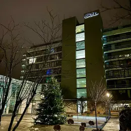 Das Bild zeigt das Gebäude des DKFZ (Deutsches Krebsforschungszentrum) bei Nacht. Im Vordergrund steht ein Weihnachtsbaum, der dezent beleuchtet ist, umgeben von kahlen Bäumen und einem gepflasterten Weg. Die Fassade des Gebäudes ist beleuchtet und zeigt das Logo des DKFZ.