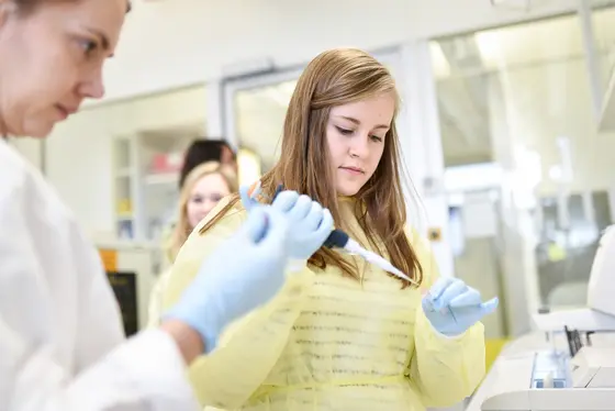 Schülerinnen und Schüler erhielten beim UniStem Day Einblicke in die Stammzellforschung