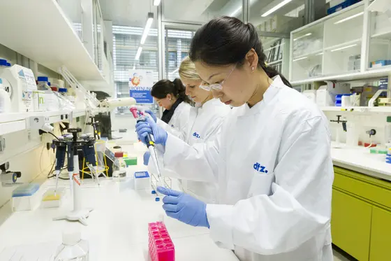 Wissenschaftler aus dem DKFZ und von Bayer arbeiten “bench-to-bench“.