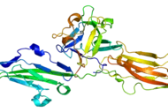 Die Abbildung zeigt ein 3D-Modell eines Proteins, das aus verschiedenen gefalteten Strukturen besteht. Die Farben variieren und umfassen Blau, Grün, Gelb und Orange, was die unterschiedlichen Bereiche des Proteins darstellt. Es verdeutlicht die komplexe Form und Anordnung der Aminosäuren.