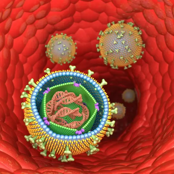3D-Illustration von Viruspartikeln, darunter ein geöffneter Epstein-Barr-Virus mit sichtbarer DNA und Proteinhülle in einem Blutgefäß.