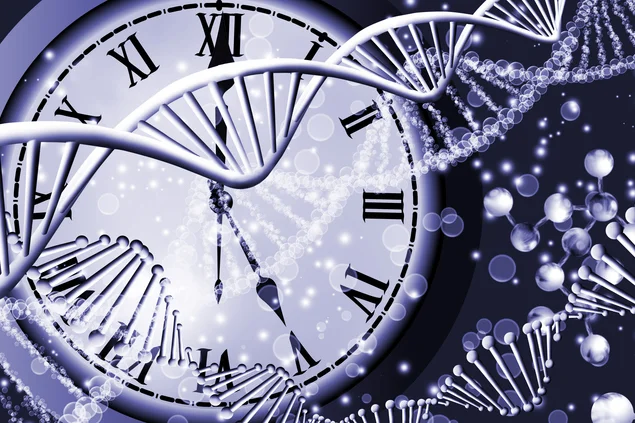 Eine künstlerische Darstellung, die eine DNA-Doppelhelix vor einer Uhr zeigt. Die Uhr hat romanische Ziffern und steht für die Zeit. Der Hintergrund ist dunkel mit glitzernden Partikeln.