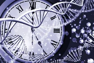 Eine künstlerische Darstellung, die eine DNA-Doppelhelix vor einer Uhr zeigt. Die Uhr hat romanische Ziffern und steht für die Zeit. Der Hintergrund ist dunkel mit glitzernden Partikeln.