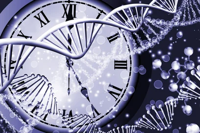 Eine künstlerische Darstellung, die eine DNA-Doppelhelix vor einer Uhr zeigt. Die Uhr hat romanische Ziffern und steht für die Zeit. Der Hintergrund ist dunkel mit glitzernden Partikeln.