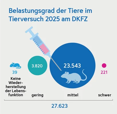 Diagramm über den Belastungsgrad von Tieren in Tierversuchen am DKFZ im Jahr 2025. Insgesamt 27.623 Tiere werden gezeigt, unterteilt in Kategorien: 39 ohne Wiederherstellung der Lebensfunktion, 3.820 mit geringem, 23.543 mit mittlerem und 221 mit schwerem Belastungsgrad.