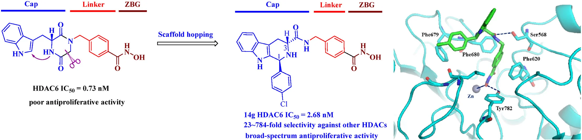 The image illustrates two chemical structures showcasing different compounds with varying antiproliferative activities. One structure indicates poor activity, while the other displays enhanced efficacy against HDACs, highlighting alterations in the molecular design that contribute to these effects. A protein structure is also depicted for context.