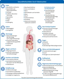 Liste der Gesundheitsschäden durch Tabakrauchen. Mitte: illustrative Darstellung der betroffenen Körperregionen. Krebs: „Mundhöhle und Rachen; Nasenhöhle und Nasennebenhöhlen; Kehlkopf; Luftröhre, Bronchien und Lunge; Speiseröhre; Magen; Leber; Gallengang; Bauchspeicheldrüse; Darm und Enddarm; Niere; Nierenbecken und Harnleiter; Blase; Brust (kausaler Zusammenhang wahrscheinlich); Gebärmutterhals; Eierstöcke; akute und chronische myeloische Leukämie. Bei Krebserkrankten und Überlebenden hat Rauchen folgende Folgen: Verschlechterung des Gesundheitszustandes; Verschlechterung des Behandlungserfolgs der Krebstherapie; erhöhtes Risiko für weitere Krebserkrankungen“. „Gehirn: Abhängigkeit, Schlaganfall; Atemwege: akute Erkrankungen der Atemwege (zum Beispiel Lungenentzündung), chronisch obstruktive Lungenerkrankung (COPD), Tuberkulose, Asthma (kausaler Zusammenhang wahrscheinlich); Magen und Darm: Magengeschwüre, chronisch-entzündliche Darmerkrankungen (kausaler Zusammenhang wahrscheinlich); Knochen und Gelenke: rheumatische Arthritis, verminderte Knochenstärke bei Frauen nach der Menopause, Hüftfrakturen; Fortpflanzung: Erektionsstörungen, verminderte Fruchtbarkeit, Schwangerschaftskomplikationen, schädigt das Ungeborene; Krebs: viele verschiedene Krebsarten; Herz-Kreislauf-System: koronare Herzerkrankungen (zum Beispiel Herzinfarkt), Atherosklerose, periphere arterielle Verschlusserkrankungen, Aneurysma der Bauchaorta; Augen: Blindheit, grauer Star, altersbedingte Makuladegeneration; Zähne und Zahnhalteapparat: Parodontose, Karies (kausaler Zusammenhang wahrscheinlich), Versagen von Zahnimplantaten (kausaler Zusammenhang wahrscheinlich); Stoffwechsel: Typ-2-Diabetes; Allgemeine Beeinträchtigungen: Beeinträchtigung der Immunfunktion, Beeinträchtigung der allgemeinen Gesundheit, Beeinträchtigung des Erfolgs operativer Eingriffe, im Blut verringerte Wirkstoffmenge für manche Medikamente (kausaler Zusammenhang wahrscheinlich)“.