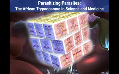 Image of multiple VSG structures