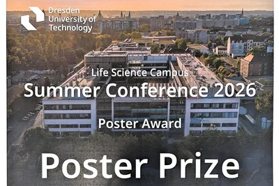 Ein Urkundenblatt für den Posterpreis der Summer Conference 2026 an der Technischen Universität Dresden. Der Preis ist an "Yico Tao" vergeben, mit Unterschrift und Datum, sowie dem Namen der Direktorin Prof. Catherina G. Becker. Hintergrund zeigt ein Campusgebäude.