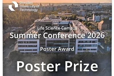 Ein Urkundenblatt für den Posterpreis der Summer Conference 2026 an der Technischen Universität Dresden. Der Preis ist an "Yico Tao" vergeben, mit Unterschrift und Datum, sowie dem Namen der Direktorin Prof. Catherina G. Becker. Hintergrund zeigt ein Campusgebäude.