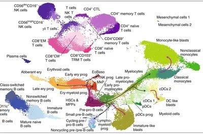 UMAP Darstellung des Proteogenomikdaten Analyse