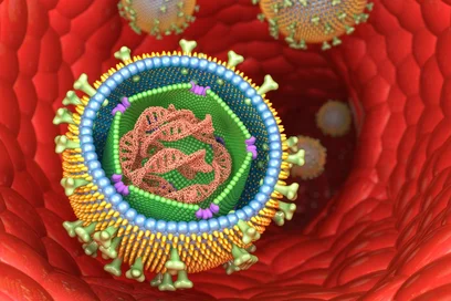 Das Bild zeigt eine farbige, schematische Darstellung von Viren, die sich in einem roten Zellinneren befinden. Im Vordergrund ist ein großes Virus mit einer detaillierten Struktur zu sehen, umgeben von mehreren kleineren Viren.