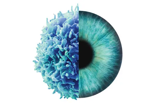 The image features a split design, with one half showing a stylized blue immune cell and the other half depicting a detailed human eye. This juxtaposition symbolizes the connection between the immune system and vision.