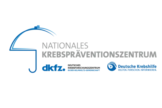 Logo of the National Association for Accident Prevention, featuring an umbrella symbol. The text includes the organization's name and associated organizations. The colors used are blue and black, emphasizing safety and awareness.