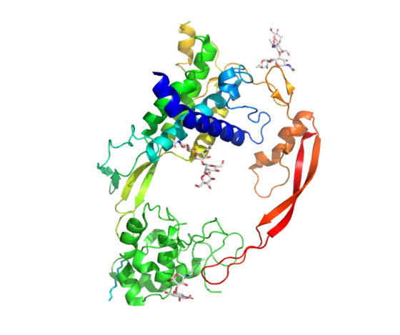Crystal Structure of Wnt8