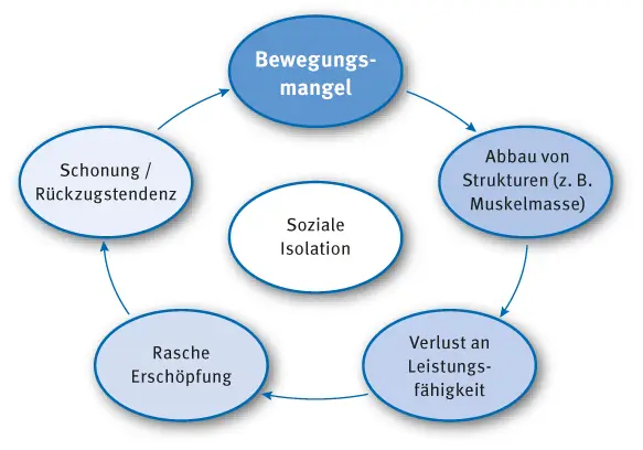 Kreislaufgrafik zeigt Folgen von Bewegungsmangel: Bewegungsmangel → Abbau von Strukturen (z. B. Muskelmasse) → Verlust an Leistungsfähigkeit → rasche Erschöpfung → Schonung/Rückzugstendenz → zurück zu Bewegungsmangel; in der Mitte: Soziale Isolation.