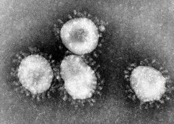 Corona-Virus