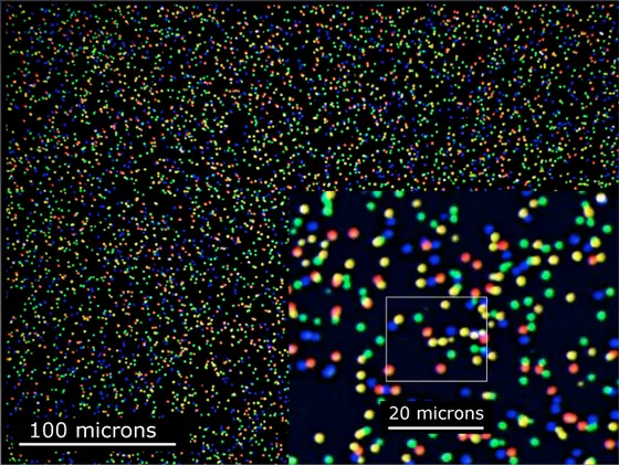 The latest methods in sequencing make even small genomic and epigenomic alterations in tumor cells visible.