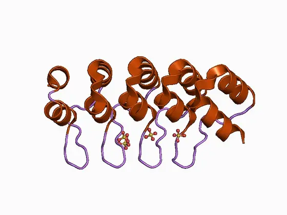 Das Bild zeigt ein 3D-Modell eines Proteins mit mehreren spiralförmigen Strukturen in Orange und lila. Kleinere Moleküle sind in einer Kombination von Farben am unteren Teil des Modells dargestellt, was chemische Bindungen andeutet.