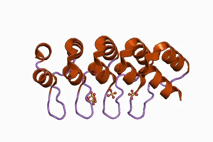 Das Bild zeigt ein 3D-Modell eines Proteins mit mehreren spiralförmigen Strukturen in Orange und lila. Kleinere Moleküle sind in einer Kombination von Farben am unteren Teil des Modells dargestellt, was chemische Bindungen andeutet.