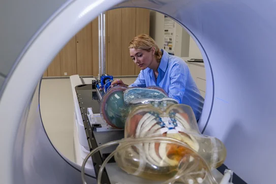 Eine medizinische Fachkraft sitzt vor einem CT-Gerät und arbeitet an einem anatomischen Modell. Das Modell zeigt innerkörperliche Strukturen. Die Umgebung ist hell und modern gestaltet, was auf eine klinische Umgebung hinweist.