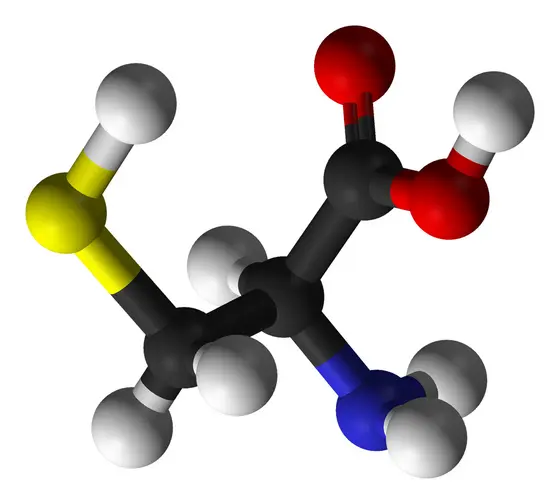 Modell der Aminosäure Cystein, die eine Thiolgruppe enthält (das Schwefelatom ist gelb dargestellt)