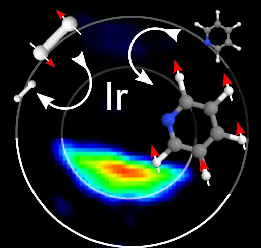 In vitro MRI-image taken with the new technique of continuous hyperpolarization.