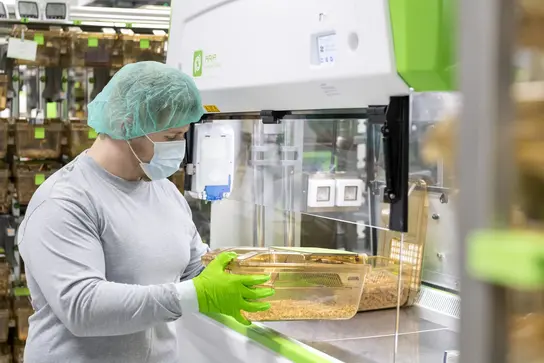 Ein Auszubildender zum Tierpfleger für Forschung und Klinik bei der Arbeit